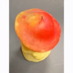 Vintage Handmade Candle Mushroom - Unique Home Decor - Image 10