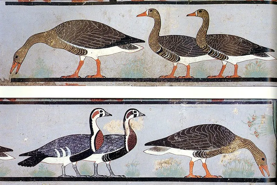 Animalistics