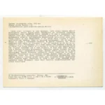 Vintage Postcard: 19th-Century Daruma Netsuke | Zen Buddhism Art - Image 2