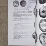 AVERS #6 Catalog Soviet russian USSR Orders and medals