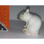 Mouse with Nut