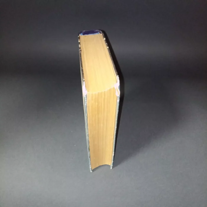 The Betrothed by Alessandro Manzoni